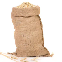 中电鼎润 40*60cmm 编织麻袋 1.00 个/只 (计价单位:只) 黄色