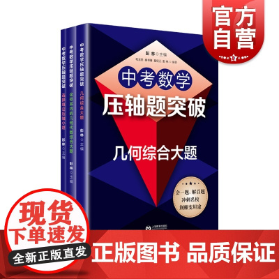 中考数学压轴题突破系列套装 几何综合大题 坐标系内的几何代数综合大题 选择填空压轴小题