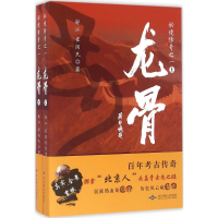 音像龙骨邬江,崔国民 著