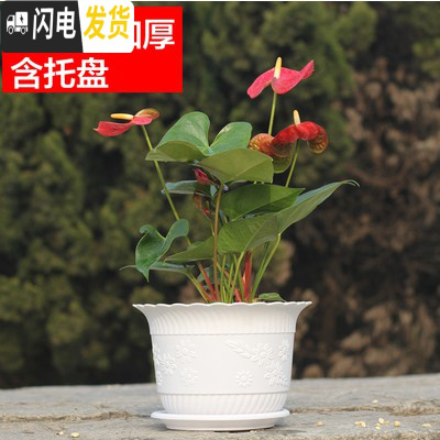 三维工匠波浪花边莲花盆塑料树脂仿陶型大花盆多肉绿萝花盆可水培送托盘 白色[开孔留言] 4个大号+4个中号花盆容器