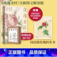 [正版]无穷小亮张辰亮 《玫瑰圣经》图谱解读 赠玫瑰香味装饰画 王国良等著 玫瑰之书 出版图书 书籍