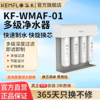 溢泰康富乐KEMFLO净水器家用直饮厨房净水机自来水过滤不插电 KF-WMAF-01台