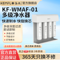 溢泰康富乐KEMFLO净水器家用直饮厨房净水机自来水过滤不插电 KF-WMAF-01台