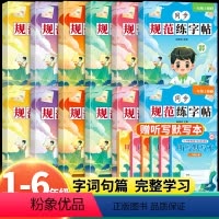 [全2册]语文同步练字帖上册 小学六年级 [正版]2023新版同步规范练字帖一年级三四五六二年级上册练字帖每日一练字帖人