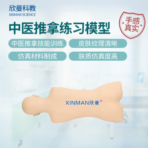 欣曼科教 中医推拿练习模型 推拿训练模拟人 中医教学人体模型XM-ZYTN