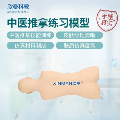 欣曼科教 中医推拿练习模型 推拿训练模拟人 中医教学人体模型XM-ZYTN