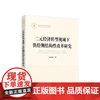 正版 二元经济转型视域下供给侧结构性改革研究 孙亚南著 人民出版社