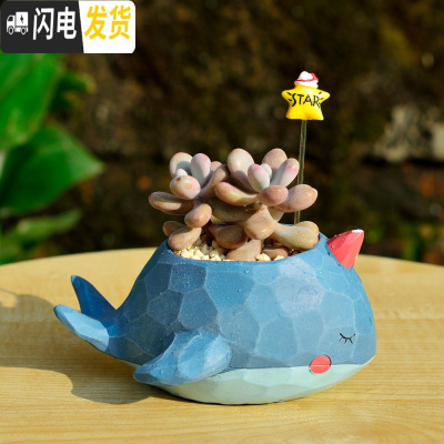 三维工匠zakka田园多肉花盆可爱卡通动物花盆鲸鱼花园派对创意小花盆套餐 鲸鱼蓝色+桃蛋双头+星星配土+铺面石 花盆容器