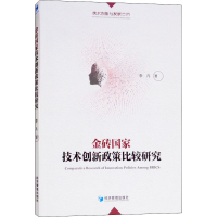 音像金砖技术创新政策比较研究李凡