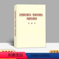 [正版]2021新 论把握新发展阶段、贯彻新发展理念、构建新发展格局 (大字本)中央文献出版社978750734837