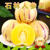 [西沛生鲜]云南特产 石林人参果 净重5斤 果王 单果110g+ 熟果 香甜可口 新鲜应季水果 西沛