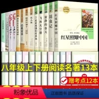 [人教版13册]八年级上下册必读+选读书目 送考点 [正版]八年级必读名著全4册 红星照耀中国和昆虫记原著完整版钢铁是怎