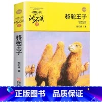 骆驼王子 [正版]沈石溪动物小说品藏书系列全集36册 斑羚飞渡第七条猎狗后一头战象雪豹悲歌珍藏版全套画本生肖