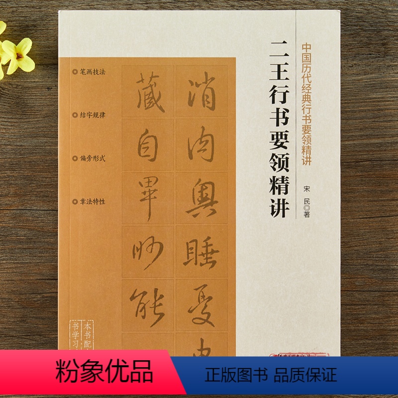 [正版]中国历代经典行书要领精讲·二王行书要领精讲 王羲之王献之零基础技法练习行书毛笔书法字帖工具书入门教程 配讲解视