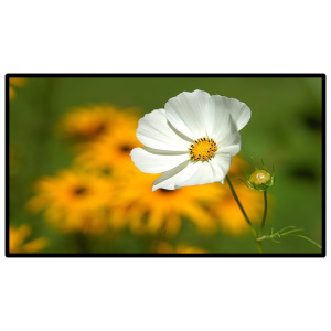 昌裕CY-GGJ-49BG 49寸广告机 信息发布显示屏