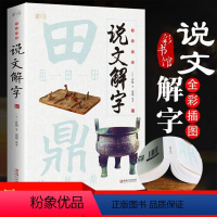 [小学通用]说文解字 小学通用 [正版]小学通用小学生说文解字词通解语文一二三四年级儿童少儿学习汉字演变图解象形字典给孩