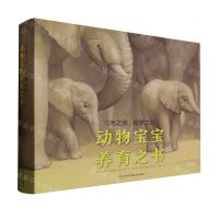 [N]天地之间睡梦之时--动物宝宝养育之书(共4册)(精)-9787572708718