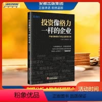 [正版]投资像格力一样的企业 咖啡帘表面贴关于行程 产销均衡视角下的企业财务分析 于日新著 雪球网经典 财报分析