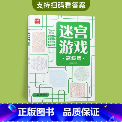 迷宫游戏(高级) [正版]数独游戏书 儿童入门到精通阶梯训练书 幼儿园到小学生一年级 四宫格六宫格数独九宫格 二年级数独