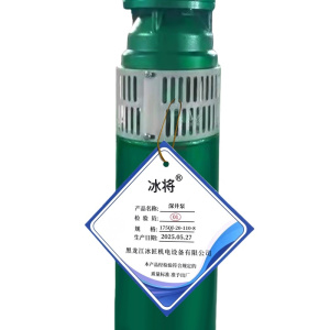 冰将 380V深井泵高扬程潜水泵 台