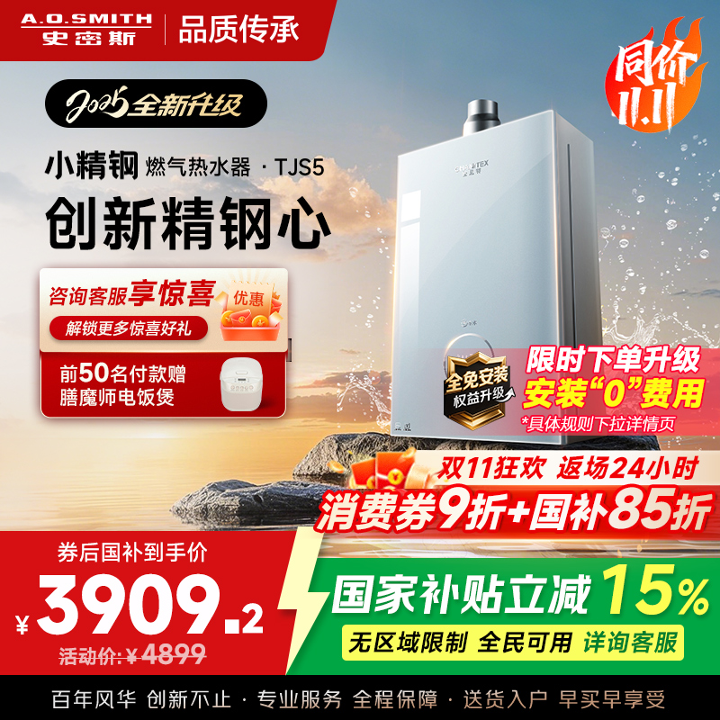史密斯佳尼特[小精钢TJS5]16升增压零冷水燃气热水器 国家补贴 JSQ31-TJS5 安全守护 持久恒温 新品