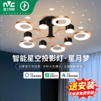 雷士照明星空灯现代简约吸顶灯奶油风客厅吊灯主灯中山灯具