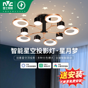 雷士照明星空灯现代简约吸顶灯奶油风客厅吊灯主灯中山灯具