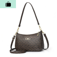 小包包女斜挎包2020新款中年妈妈婆婆老人迷你女士单肩手提包挂包NEW LAKE 箭头纹女士单肩包