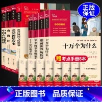 四年级上下册套装(8册) [正版]十万个为什么四年级下册必读快乐读书吧 苏联米伊林灰尘的旅行穿过地平线细菌世界历险记四年