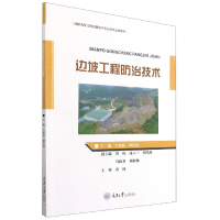 音像边坡工程防治技术王明秋著;王明秋编;蒋洪亮编