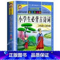 小学生必背古诗词 [正版]老师成语故事大全小学生版 加厚彩色图案注音版成语接龙中华成语故事 中国成语故事一年级二年级阅读