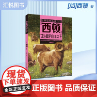 甘达峰的山羊大王 [加]西顿/ 原著fbz安韶编/安徽少年儿童出版社 外国文学/动物小说