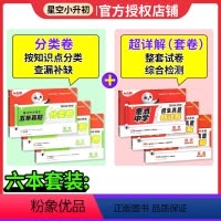 语数英 ◆小升初真题[分类卷+套卷]6本套 小学升初中 [正版]2024新小白鸥星空小升初分类卷真题卷历年真题万唯人教版