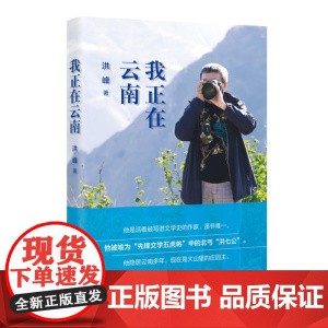 我正在云南(作家洪峰十余年来随笔集)