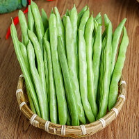 [西沛生鲜]云南新鲜四季豆 净重9斤