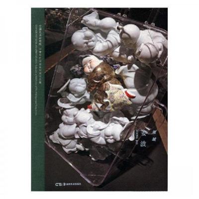 正版新书]视域 姜波谭平9787535682291