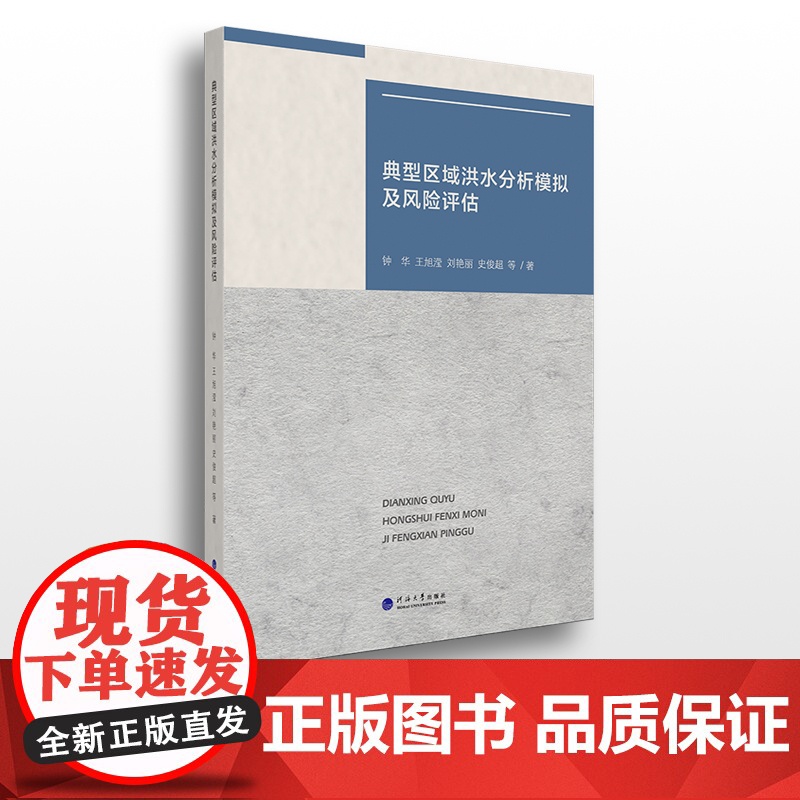典型区域洪水分析模拟及风险评估