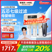 安吉尔净水器家用直饮V6净饮机 1.46升/分钟净水机J2605-ROB60(A8)+J3217前置过滤器