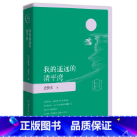 [正版]我的遥远的清平湾 插图珍藏版 史铁生随笔集史铁生作品精选灵魂代表之作我与地坛作者中国现当代文学散文随笔励志小说