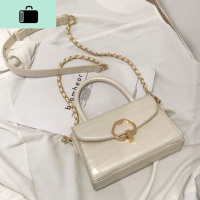 ins超火浮光掠影包包女包2020新款潮洋气小众百搭手提单肩斜挎包NEW LAKE女斜挎包