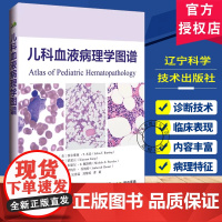 儿科血液病理学图谱 系统阐述了各类儿科血液病的病理特征等 王艳芬 吴泽霖 刘黎琼 曹娟 主译 辽宁科学技术出版社9787