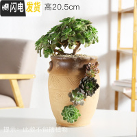 三维工匠创意个性多肉陶瓷花盆多肉拼盘多孔多洞高款老桩法师陶瓷花器绿植 洞洞盆HZ265 大花盆容器