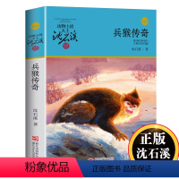 兵猴传奇 [正版]兵猴传奇 沈石溪动物小说品藏书系升级版 小学生课外阅读书籍6-12岁青少年版儿童文学三四五六年级阅读儿