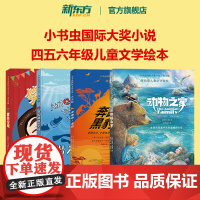 新东方正版小书虫国际大奖小说儿童文学绘本故事书小学四五六年级课外阅读10-12岁