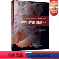 [正版]LWW解剖图谱 第2版 丰富了头部五官和颅内解剖的内容 更新了300余幅图片 电脑绘图精细展现深浅层关系 并增