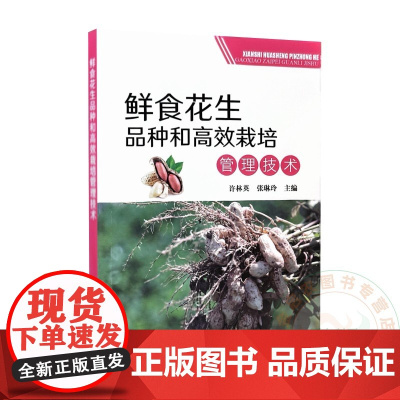 鲜食花生品种和高效栽培管理技术 许林英 张琳玲 编 9787109281462 中国农业出版社