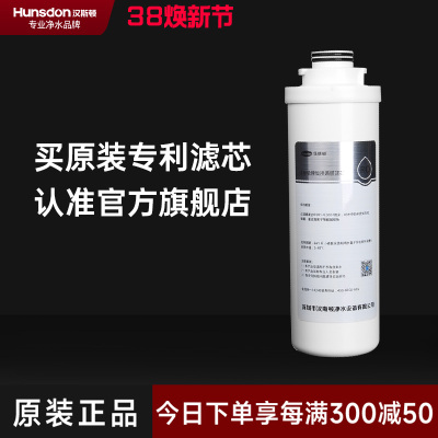 汉斯顿/Hunsdon滤芯 旋拧式300G反渗透RO膜