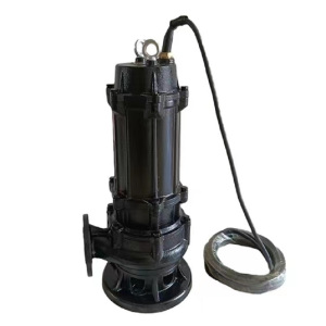 水泵污水泵天泉泵业潜水排污水泵65WQ30-35-7.5台