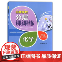 新版 分层课课练 化学 九年级第一二学期 配套上海化学教材使用 上海科技教育出版社 上海化学课后AB卷练习辅导用书