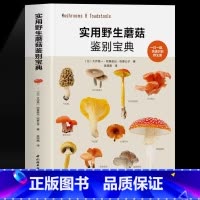 [正版]实用蘑菇鉴别宝典 大作晃一 吹春俊光 蘑菇使用图鉴书籍 食用蘑菇菌菇松茸菌类菌毒蘑菇识别方法采书蘑菇百科书籍